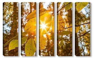Модульная картина Кленовый, осенний лист, с просвечивающими лучами солнцу.