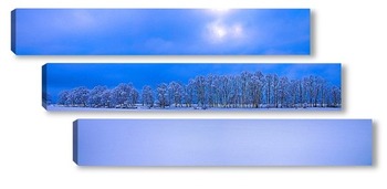 Модульная картина Панорамная зима
