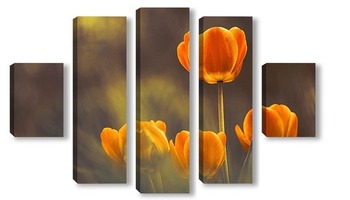 Модульная картина Оранжево-желтые тюльпаны
