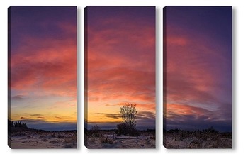 Модульная картина Одинокое дерево на закате солнца