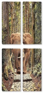Модульная картина Слон в лесу