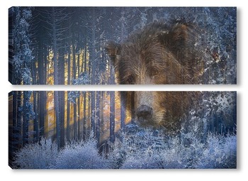 Модульная картина Взгляд медведя