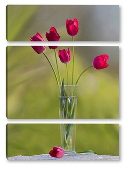 Модульная картина Тюльпаны