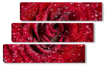 Модульная картина Natural red roses background
