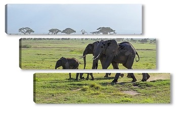 Модульная картина семья слонов