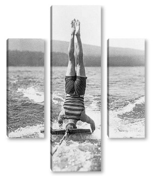 Модульная картина VV5107-1