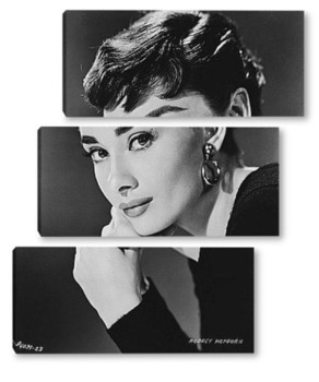 Модульная картина Audrey Hepburn-20