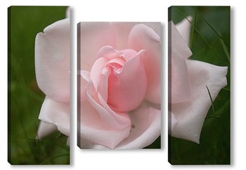 Модульная картина Бело-розовая