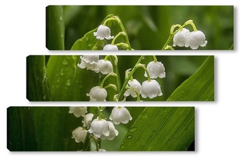 Модульная картина После дождя