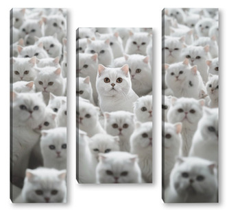 Модульная картина Белоснежные кошки