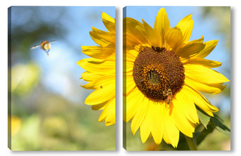 Модульная картина Подсолнух с пчёлкой и шмеликом