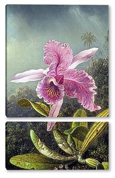 Модульная картина Орхидея (часть картины)