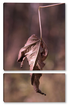 Модульная картина Осенний лист дерева