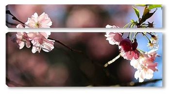Модульная картина Японская весна