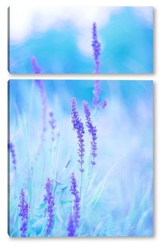 Модульная картина Фиолетовые полевые цветы на бирюзово-голубом фоне.