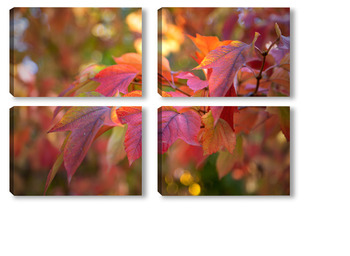 Модульная картина Осенняя красота