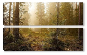 Модульная картина Туманное утро ву лесу