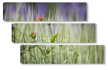 Модульная картина цветы в луговой траве