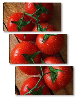 Модульная картина Свежие помидоры