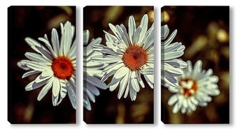 Модульная картина Daisies