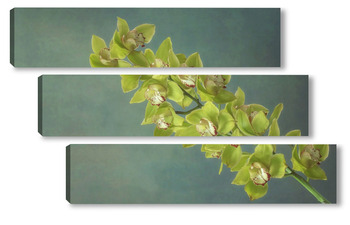 Модульная картина Ветка желтой орхидеи цимбидиум