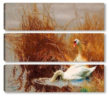   Лебеди на воде