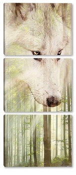 Модульная картина Белый волк
