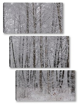 Модульная картина зима в лесу