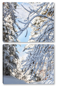 Модульная картина Ветвь дерева, покрытая снегом