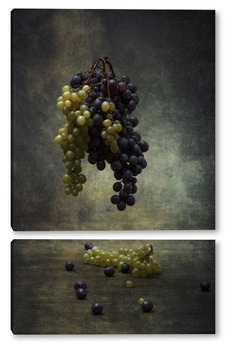 Модульная картина Виноград