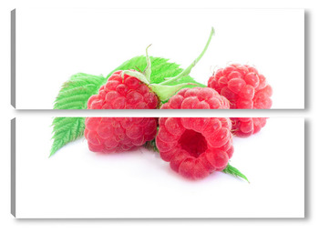 Модульная картина Raspberry on white background