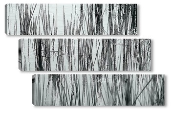 Модульная картина Травы на  озере.