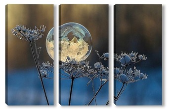 Модульная картина Замёрзший мыльный пузырь на веточке сухого растения