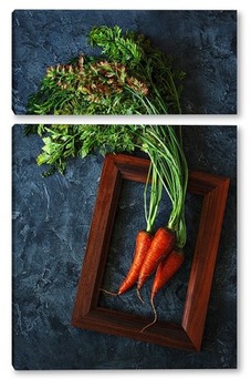 Модульная картина Свежая морковка. Портрет