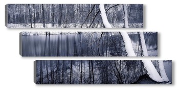 Модульная картина Черно-белая зима