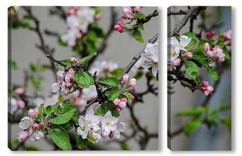 Модульная картина Когда яблони цветут
