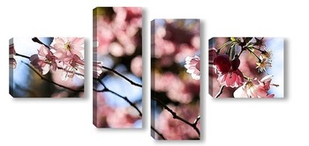 Модульная картина Праздник цветения сакуры
