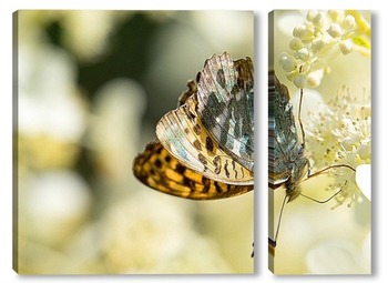 Модульная картина Бабочка на гортензии