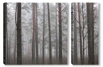 Модульная картина туманный осенний  лес