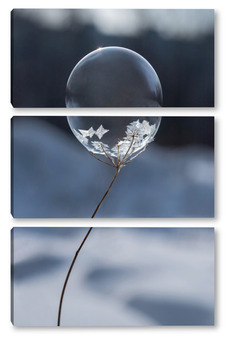 Модульная картина Замёрзший  мыльный пузырь на растении