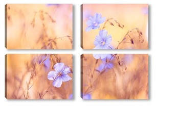 Модульная картина луговые голубые цветы