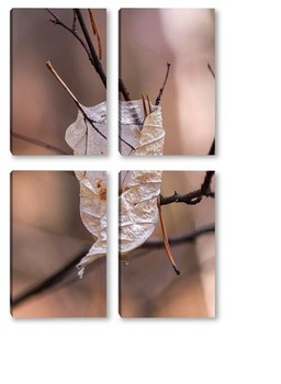 Модульная картина сухой лист , пронзённый веткой дерева