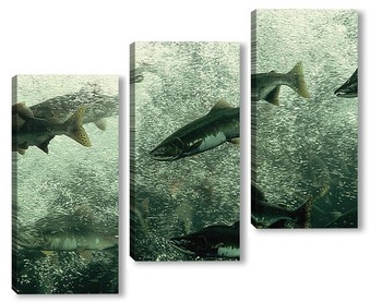 Модульная картина Fish131