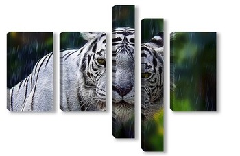 Модульная картина Белый тигр