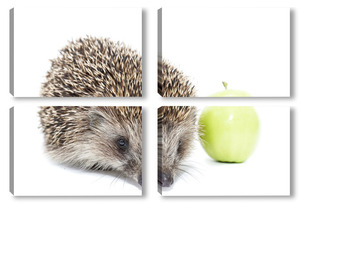 Модульная картина Hedgehog and Apple