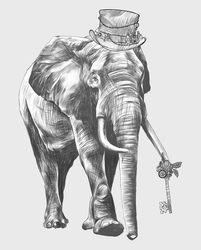    Элегантный слон