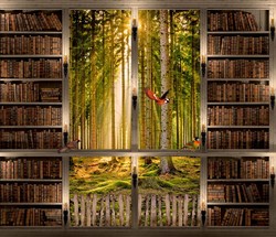 Наклейки Книжный шкаф