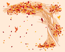    Осеннее дерево