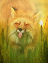 Наклейки Забавная лиса