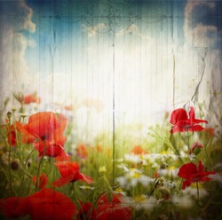    Маки в поле